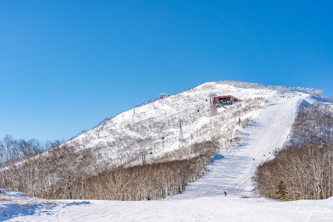 十勝サホロリゾート 快晴の空の下、極上の粉雪クルージングバーンを心ゆくまで味わう１日(*^^*)